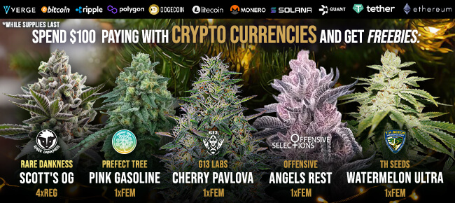 Spend $100 with Crypto Currencies - Get FREEBIES!