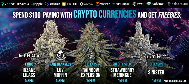 Spend $100 with Crypto Currencies - Get FREEBIES!