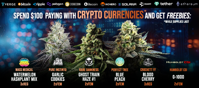 Spend $100 with Crypto Currencies - Get FREEBIES!