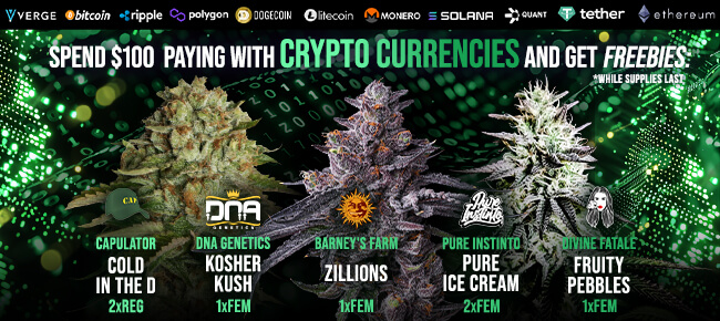 Spend $100 with Crypto Currencies - Get FREEBIES!