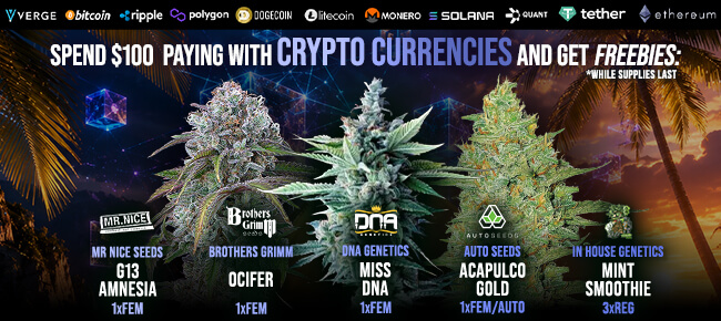 Spend $100 with Crypto Currencies - Get FREEBIES!