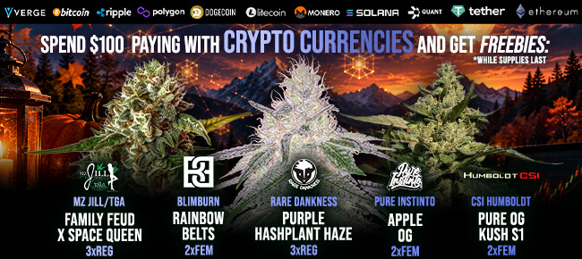 Spend $100 with Crypto Currencies - Get FREEBIES!