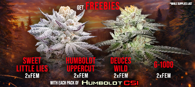 Humboldt CSI - Buy Any Pack - Get EXTRA FREEBIES!