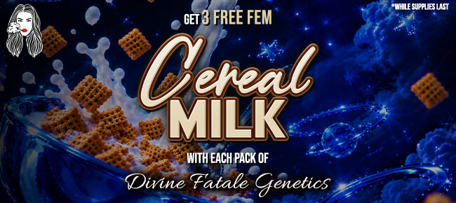 Divine Fatale - Buy Any Pack - Get 3 FEM Cereal Milk