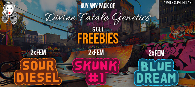 Divine Fatale - Buy Any Pack - GET FREEBIES!