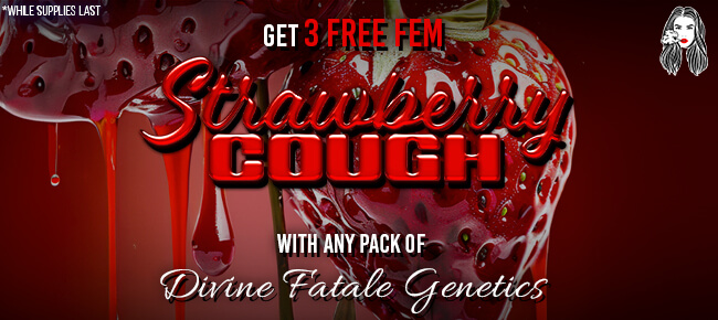 Divine Fatale - Buy Any Pack - Get 3 FEM Strawberry Cough