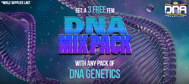 DNA Genetics - Buy Any Pack - Get Randomly Selected 3 FEM Mix Pack