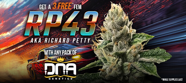 DNA Genetics - Buy Any Pack - Get 3 FEM RP 43 S1 aka Richard Petty