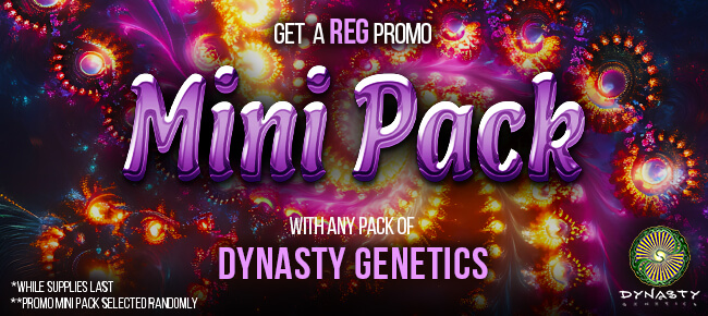 Dynasty Genetics - Buy Any Pack - Get 3 REG Seeds Chosen At Random
