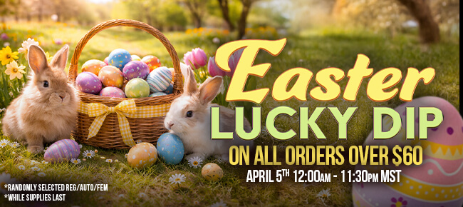 Easter 2026 - Spend $60 - Get 1 Lucky Dip Seed (FEM, REG, AUTO)