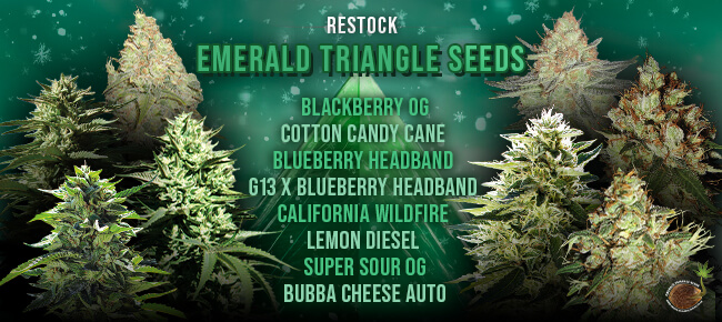 Emerald Triangle - Restock