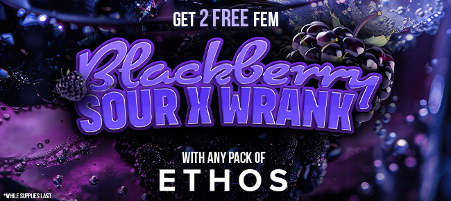 Ethos Genetics - Buy Any Pack - Get 2 FEM Blackberry Sour x Wrank
