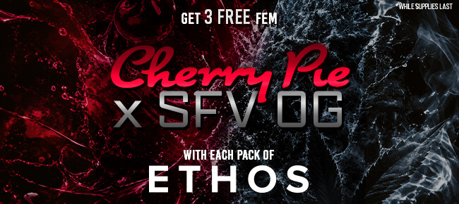 Ethos Genetics - Buy Any Pack - Get 3 FEM Cherry Pie x SFV OG