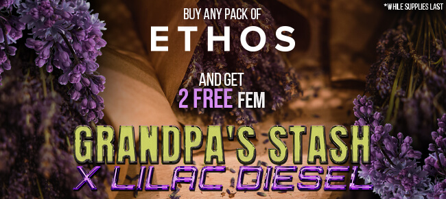 Ethos Genetics - Buy Any Pack - Get 2 FEM Grandpa's Stash x Lilac Diesel