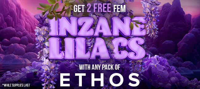 Ethos Genetics - Buy Any Pack - Get 2 FEM Inzane Lilacs