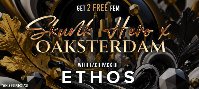 Ethos Genetics - Buy Any Pack - Get 2 FEM Skunk Hero x Oaksterdam