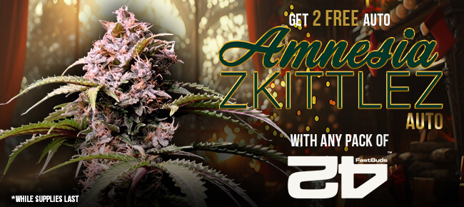 FastBuds - Buy Any Pack - Get 2 Amnesia Zkittlez AUTO