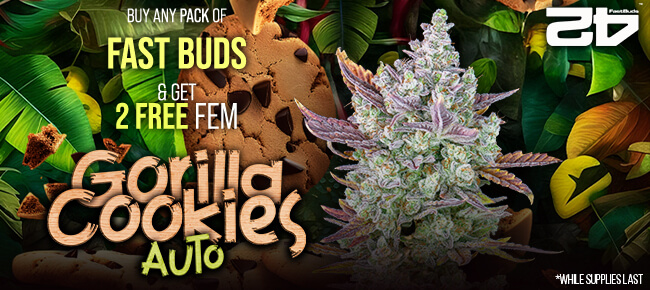 FastBuds Seeds - Buy Any Pack - Get 2 FEM Gorilla Cookies AUTO