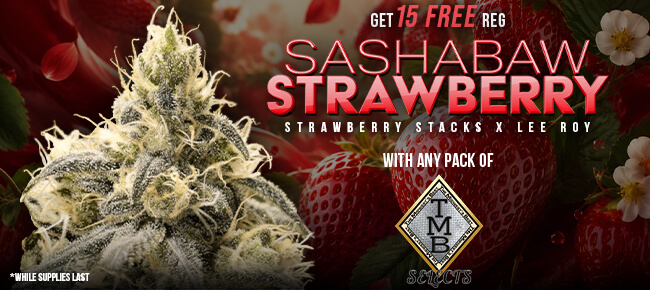 TMB Selects - Buy Any Pack - Get 15 REG Sashabaw Strawberry