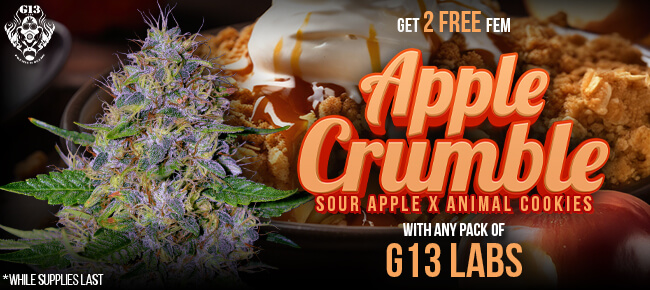 G13 Labs - Buy Any Pack - Get 2 FEM Apple Crumble
