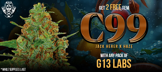 G13 Labs - Buy Any Pack - Get 2 FEM C99