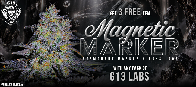 G13 Labs - Buy Any Pack - Get 3 FEM Magnetic Marker