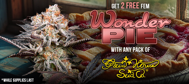 Green House - Buy Any Pack - Get 2 FEM Wonder Pie