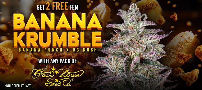 Green House - Buy Any Pack - Get 2 FEM Banana Krumble