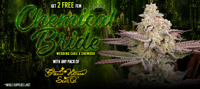 Green House - Buy Any Pack - Get 2 FEM Chemical Bride