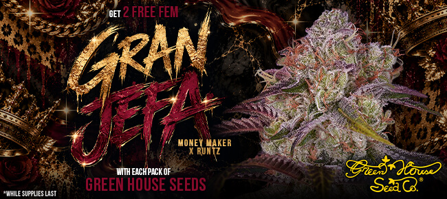 Green House - Buy Any Pack - Get 2 FEM Gran Jefa