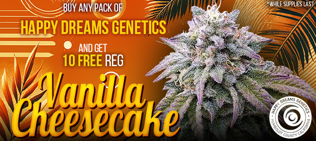 Happy Dreams Genetics - Buy Any Pack - Get 10 REG Vanilla Cheesecake While Supplies Last