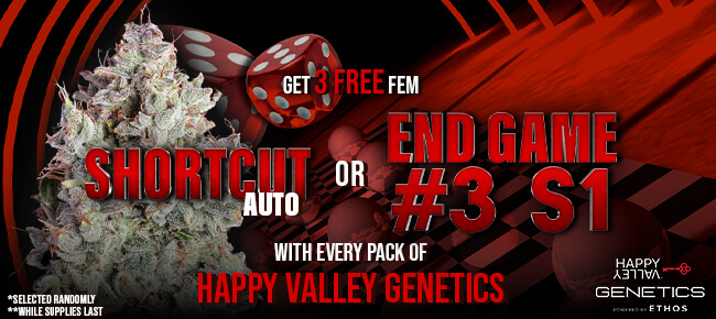 Happy Valley Genetics - Buy Any Pack - Get 3 FEM Shortcut AUTO or End Game #3 S1 Random Selection