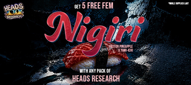 Heads Research - Buy Any Pack - Get 5 FEM Nigiri