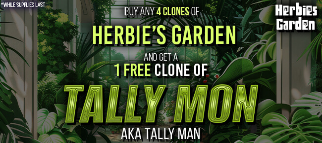 Herbies Garden - Buy Any 4 Clones - Get Tally Mon Clone