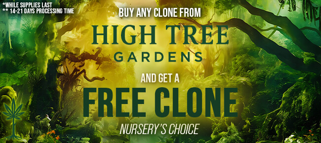 High Tree Gardens - Buy Any Clone - Get 1 Randomly Selected Clone Free