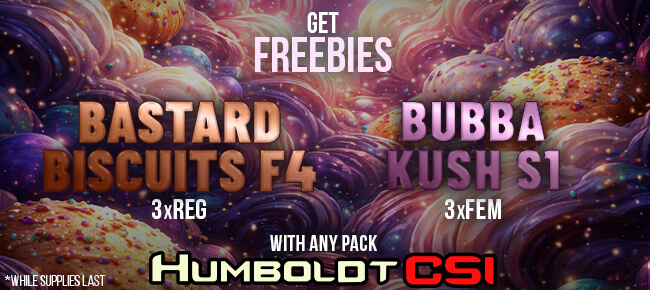Humboldt CSI - Buy Any Pack - Get 3 REG Bastard Buiscuits + 3 FEM Bubba Kush