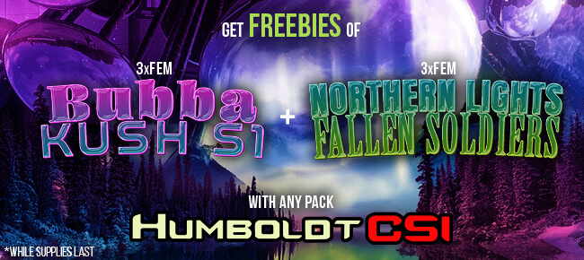 Humboldt CSI - Buy Any Pack - Get 3 FEM Bubba Kush S1 + 3 FEM Northern Lights Fallen Soldiers