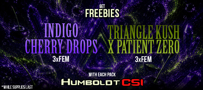 Humboldt CSI - Buy Any Pack - Get EXTRA FREEBIES!