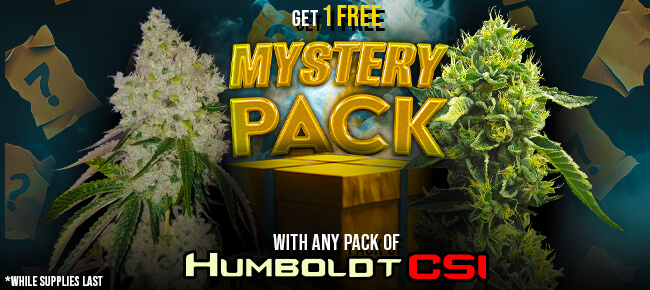 Humboldt CSI - Buy Any Pack - Get a Mystery Pack Free While Supplies Last
