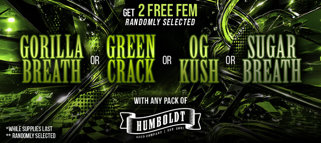 Humboldt Seed Company - Buy Any Pack - Get 2 FEM Random Selected Seeds