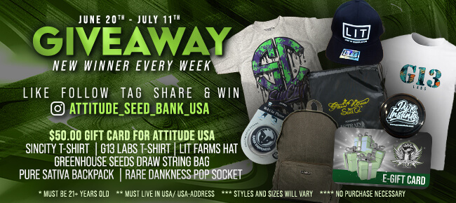 Instagram Giveaway - June 20th to July 11th 2025