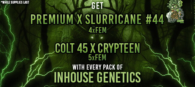 In House Genetics - Buy Any Pack - Get EXTRA FREEBIES!