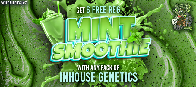 In House Genetics - Buy Any Pack - Get 6 REG Mint Smoothie
