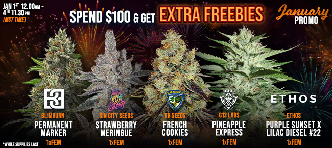 January Promo - Spend $100 - Get EXTRA FREEBIES!