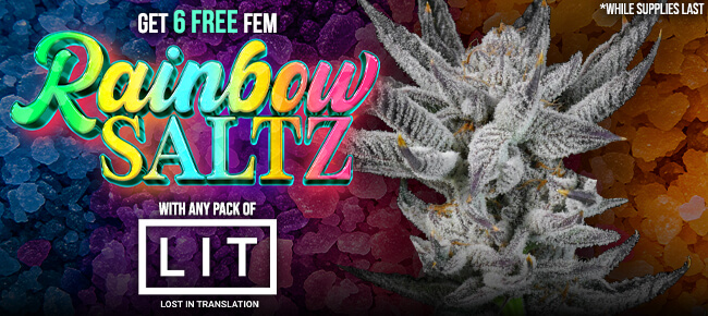 LIT Farms - Buy Any Pack - Get 6 FEM Rainbow Saltz