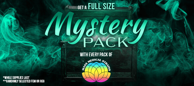 Mass Medical - Buy Any Pack - Get FEM or REG Mystery Full Pack