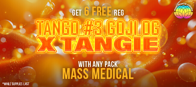 Mass Medical - Buy Any Pack - Get 6 REG Tango #3