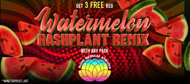 Mass Medical - Buy Any Pack - Get 3 REG Watermelon Hashplant Remix