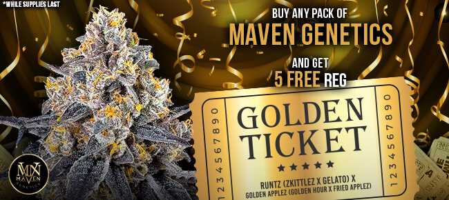 Maven Genetics - Buy Any Pack - Get 5 REG Golden Ticket