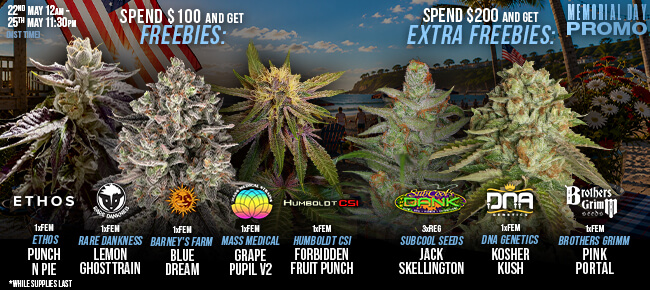 Memorial Day Promo - Spend $100 to 200 - Get EXTRA FREEBIES